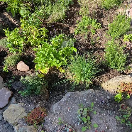 Semesterbostad House Kellisch 1822 Steffeln