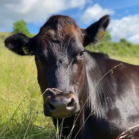 House Kellisch 1822 * Steffeln