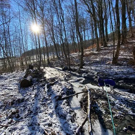 Hébergement de vacances House Kellisch 1822 *