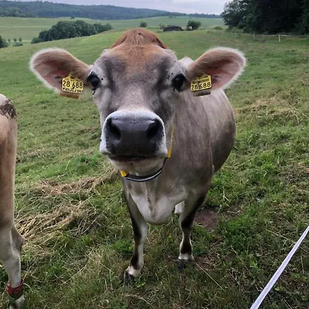 House Kellisch 1822 Steffeln