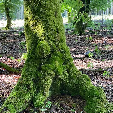 House Kellisch 1822 Feriehus