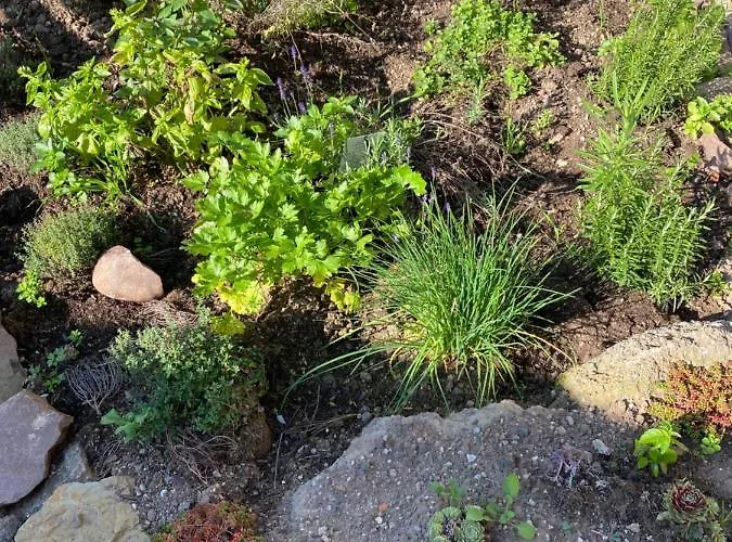 度假居 House Kellisch 1822 施泰弗尔恩