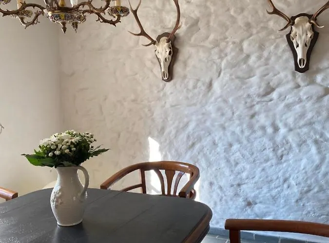 House Kellisch 1822 度假居