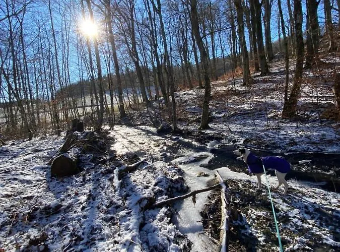 別荘 House Kellisch 1822 *