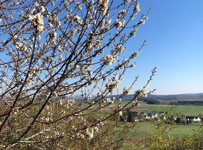 House Kellisch 1822 度假居