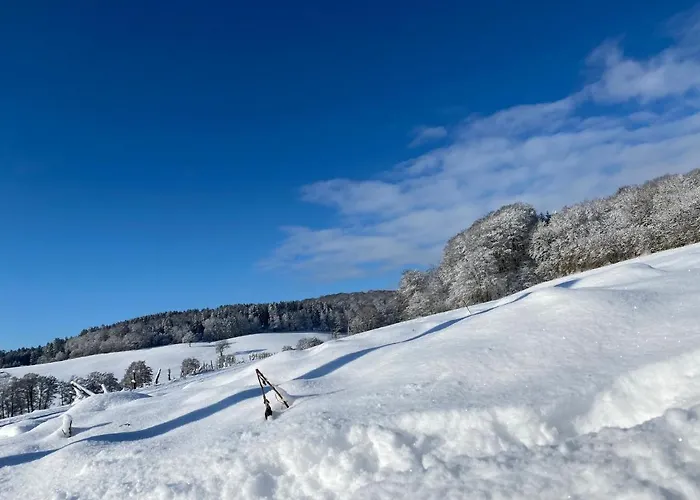 House Kellisch 1822 度假居 *